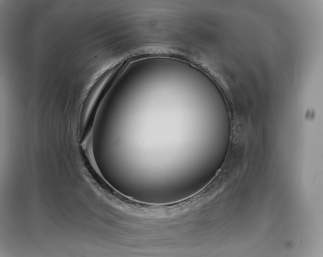 X0000097910015200803141428