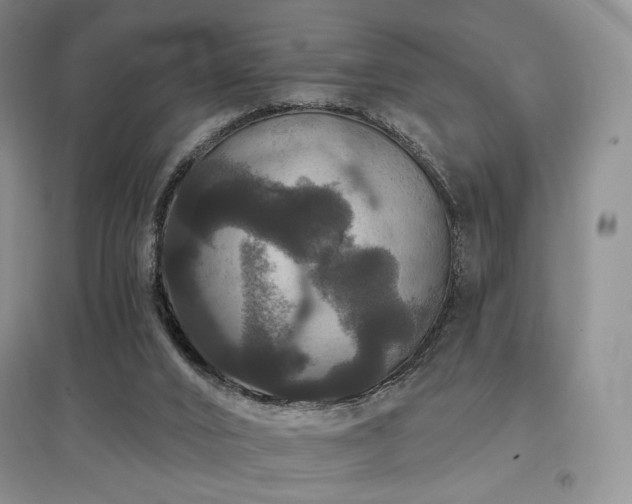 X0000097910016200803141428