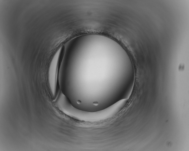 X0000097910017200803141428