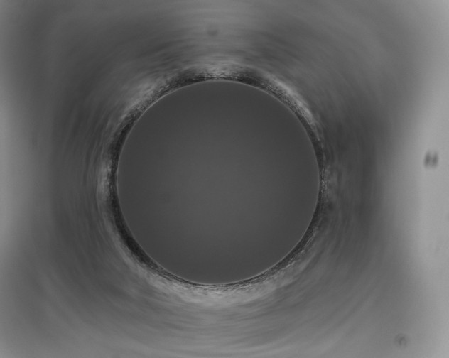 X0000097910018200803141428