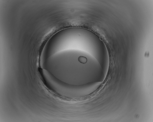 X0000097910019200803141428