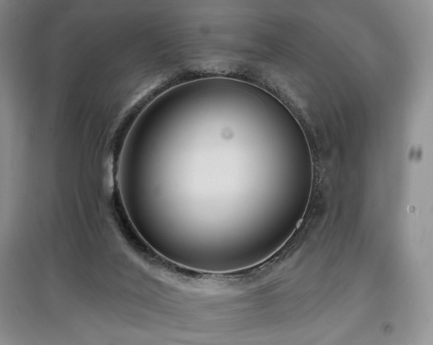 X0000097910020200803141428