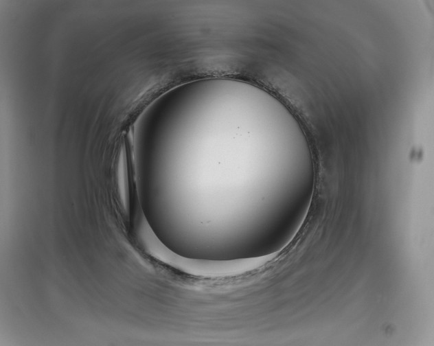 X0000097910021200803141428