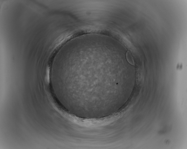 X0000097910022200803141428