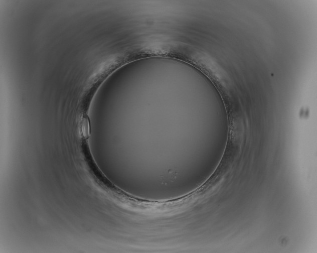 X0000097910023200803141428