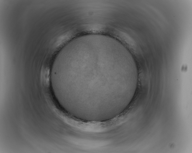 X0000097910024200803141428