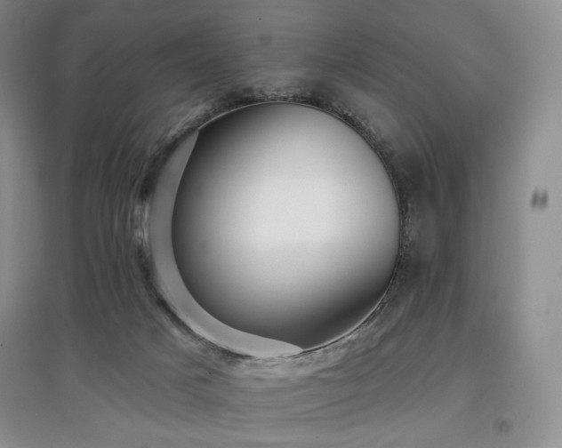 X0000097910025200803141428