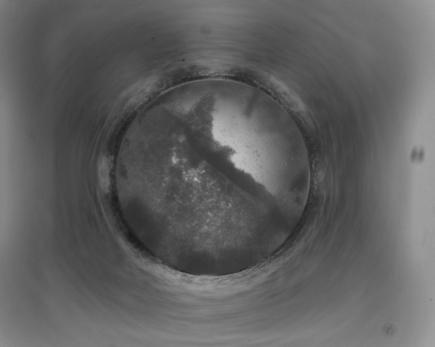 X0000097910026200803141428