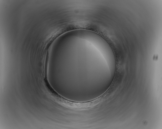 X0000097910027200803141428