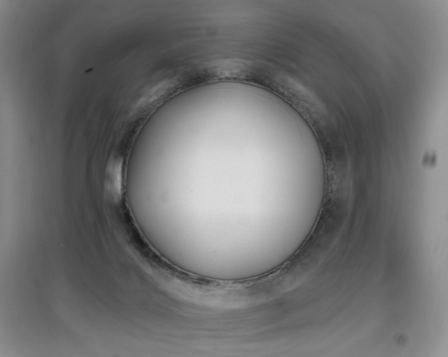 X0000097910028200803141428