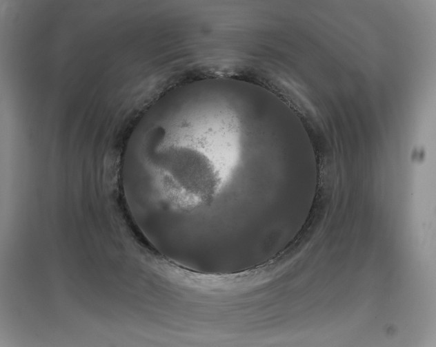 X0000097910030200803141428