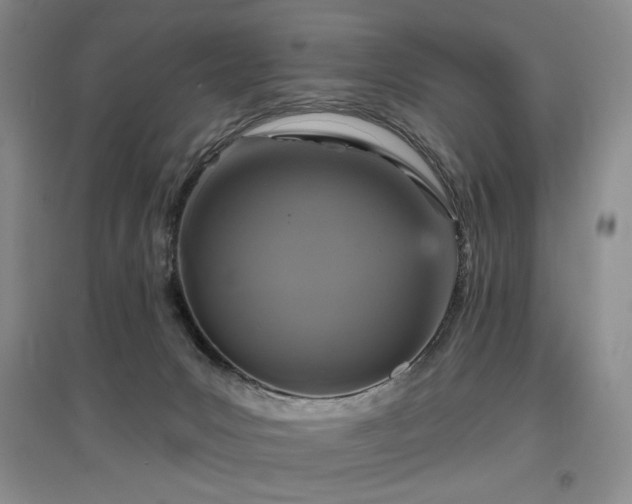 X0000097910031200803141428