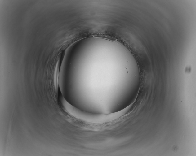 X0000097910033200803141428