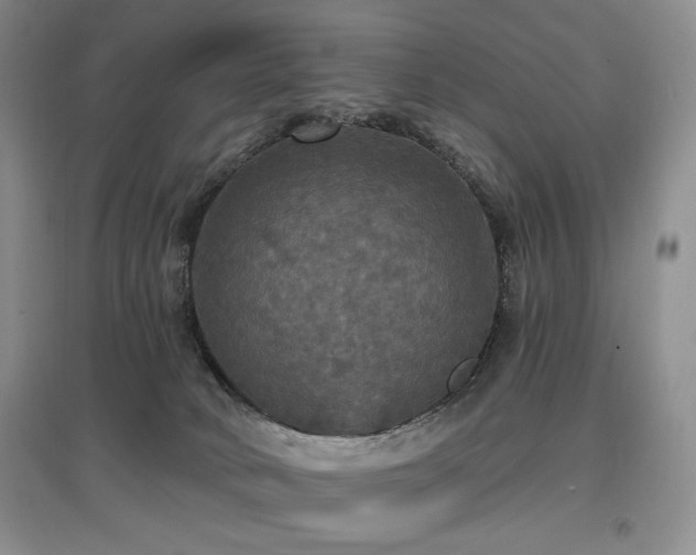 X0000097910034200803141428