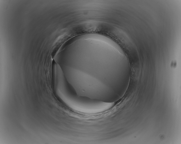 X0000097910035200803141428