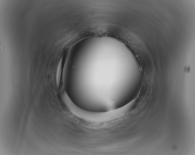 X0000097910037200803141428