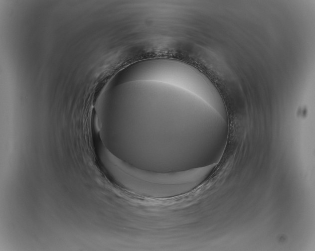 X0000097910039200803141428