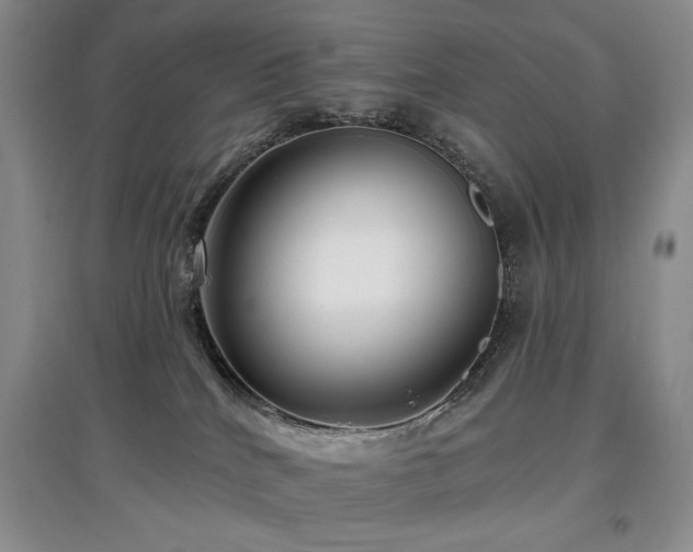 X0000097910040200803141428