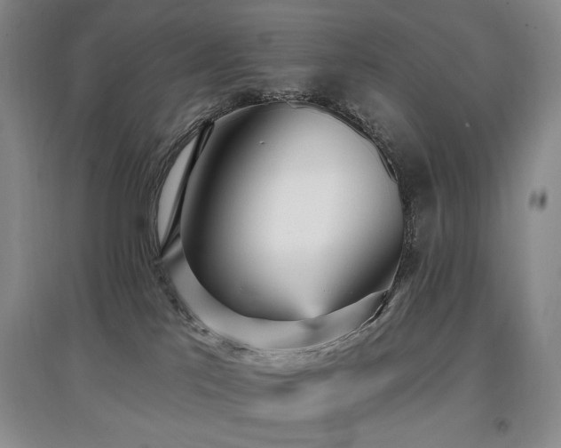 X0000097910041200803141428