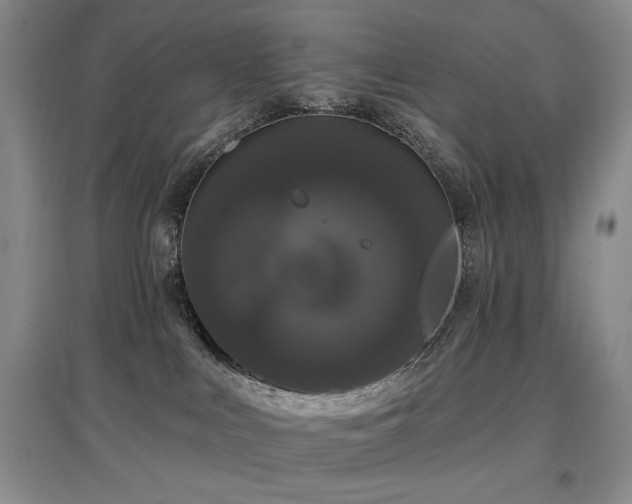 X0000097910043200803141428