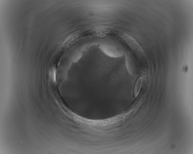 X0000097910046200803141428