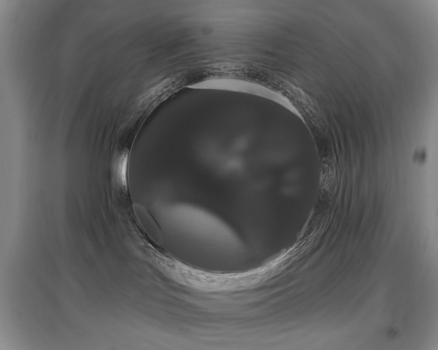 X0000097910047200803141428