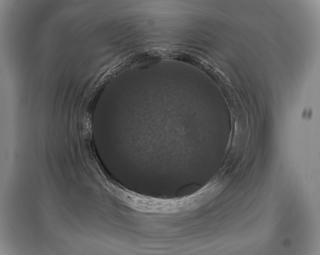 X0000097910048200803141428