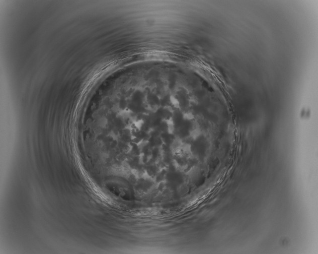 X0000097910049200803141427