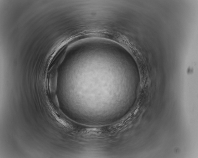 X0000097910050200803141427