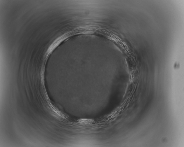 X0000097910051200803141427