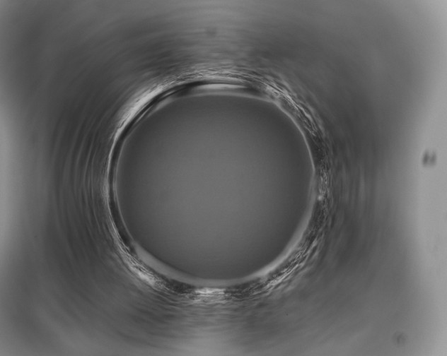 X0000097910052200803141427