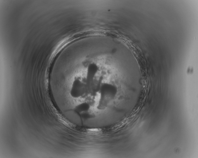 X0000097910053200803141427