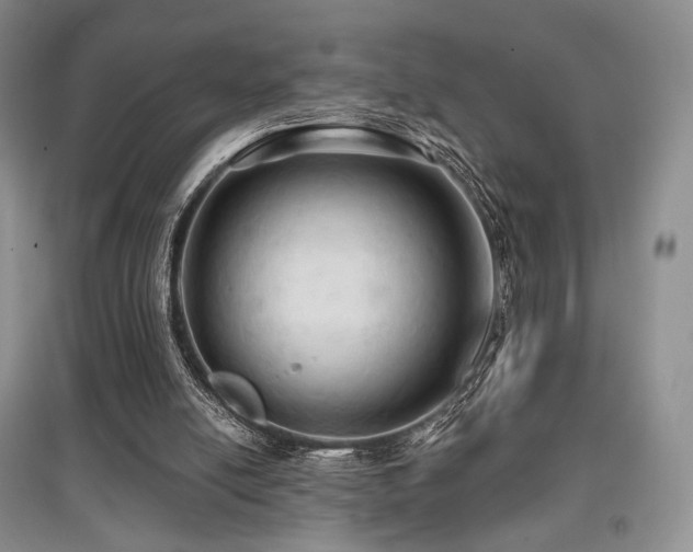 X0000097910054200803141427