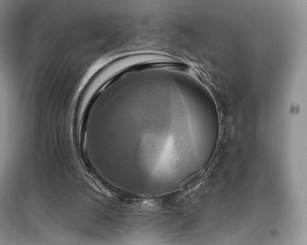 X0000097910056200803141427