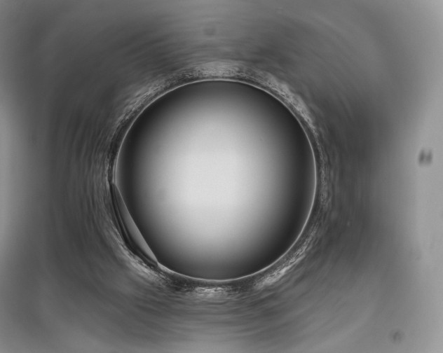 X0000097910057200803141427