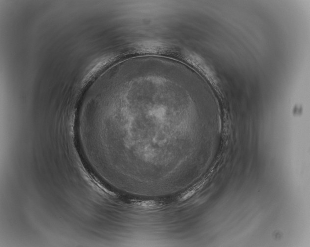 X0000097910058200803141427