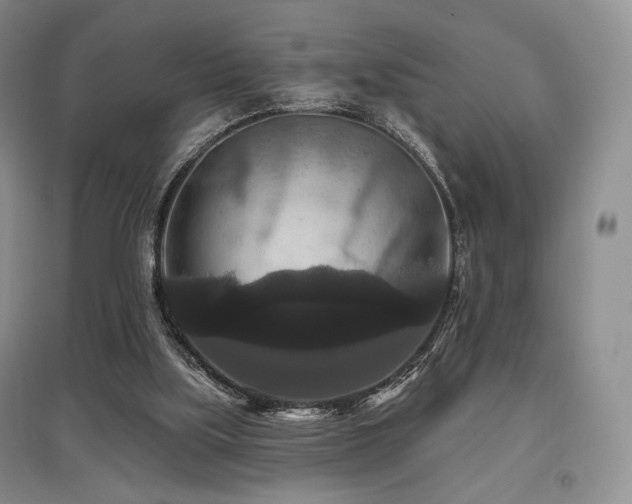 X0000097910059200803141428