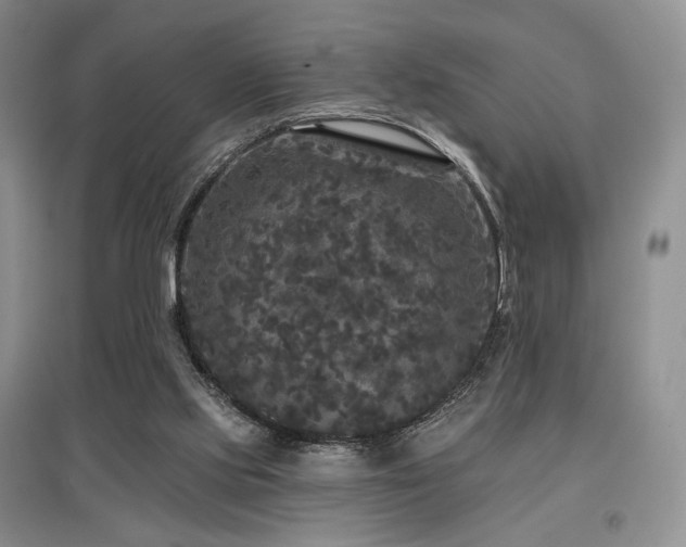 X0000097910061200803141428