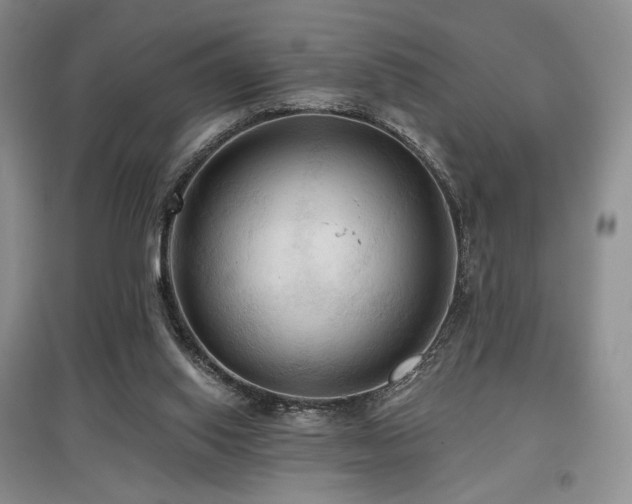 X0000097910062200803141428