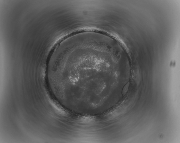 X0000097910063200803141428