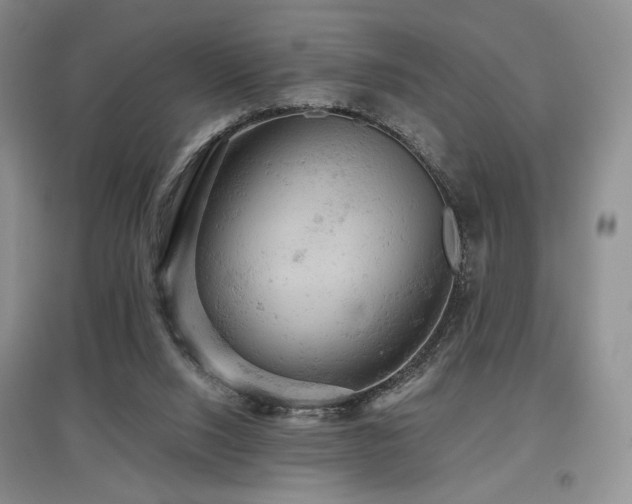 X0000097910064200803141428