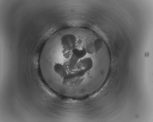 X0000097910065200803141428