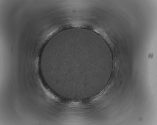 X0000097910066200803141428