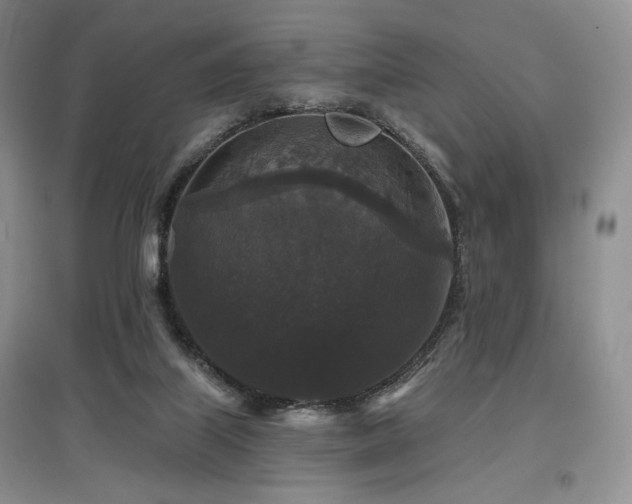 X0000097910067200803141428