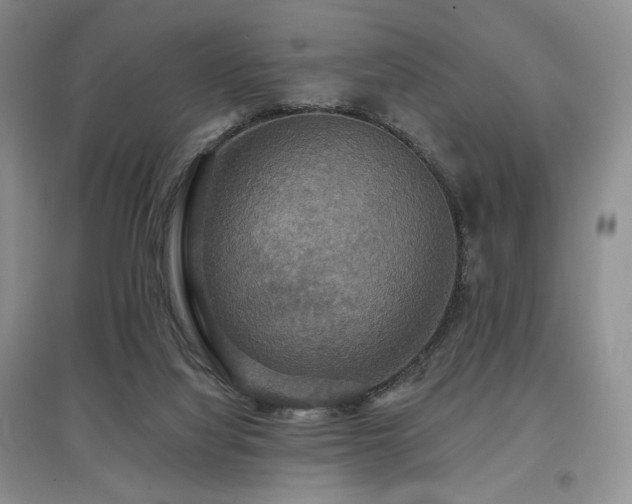 X0000097910068200803141428