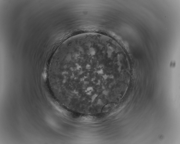 X0000097910069200803141428