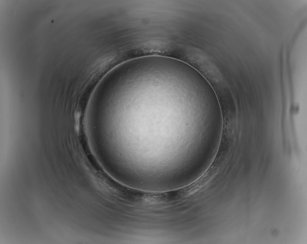 X0000097910070200803141428