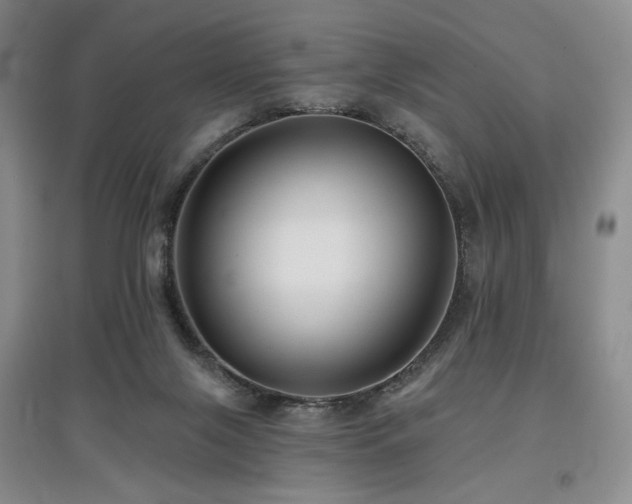 X0000097910071200803141428