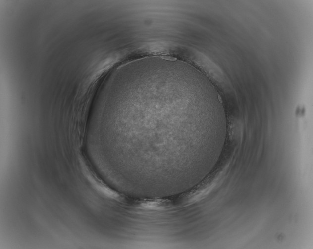 X0000097910072200803141428