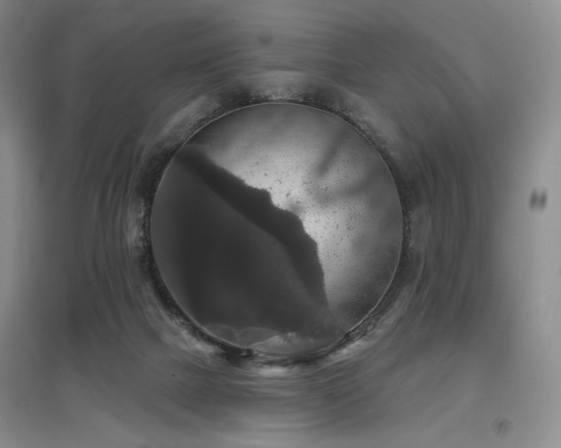 X0000097910073200803141428